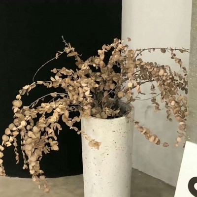 偃师FurryQQ群介绍